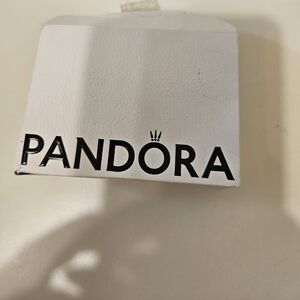 Set Of 4 Pandora Charms